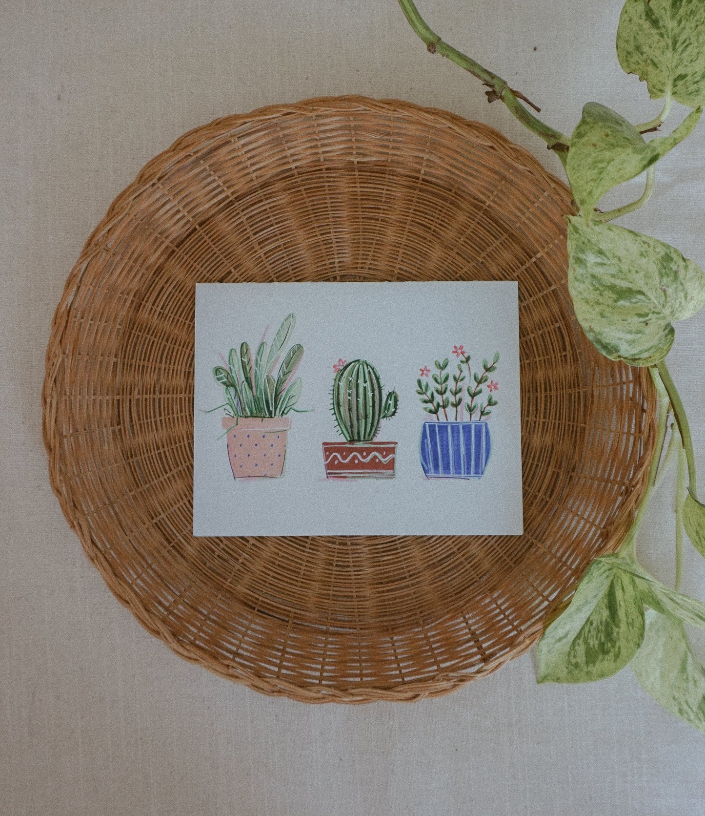 Carte de souhait - Trio de plantes